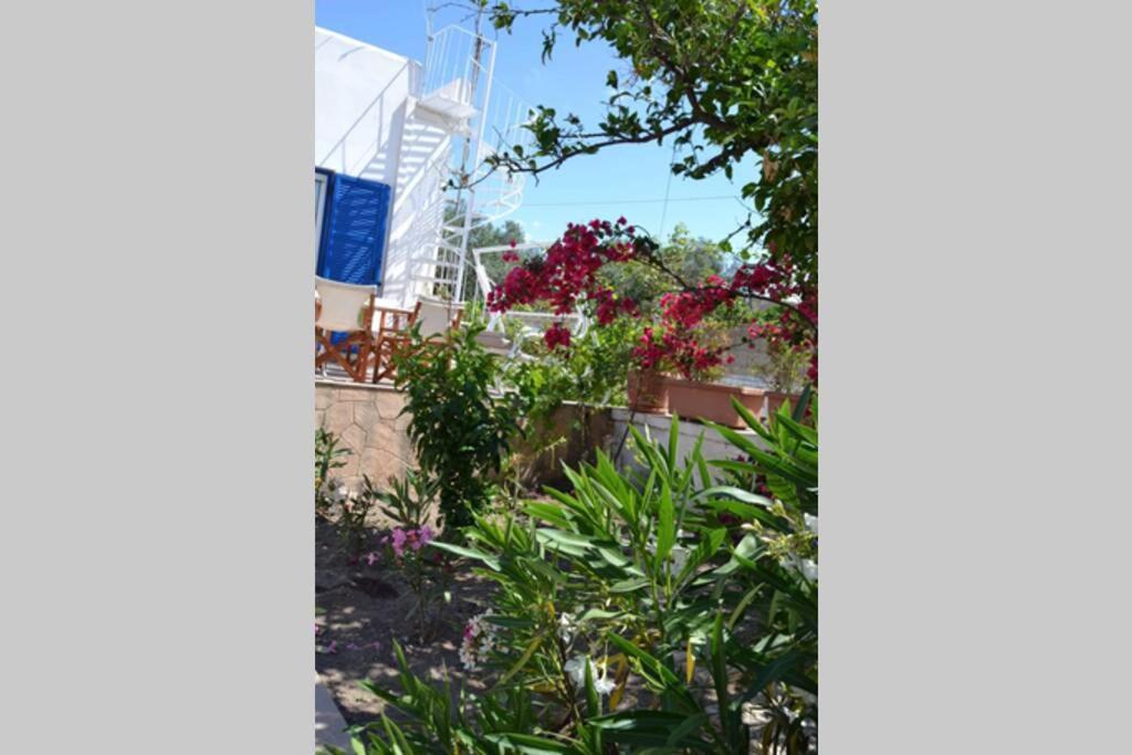 Aegina House Apartment Екстериор снимка