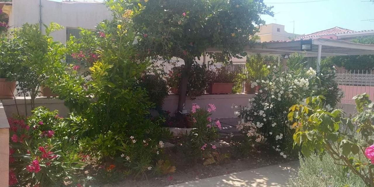 Aegina House Apartment Екстериор снимка